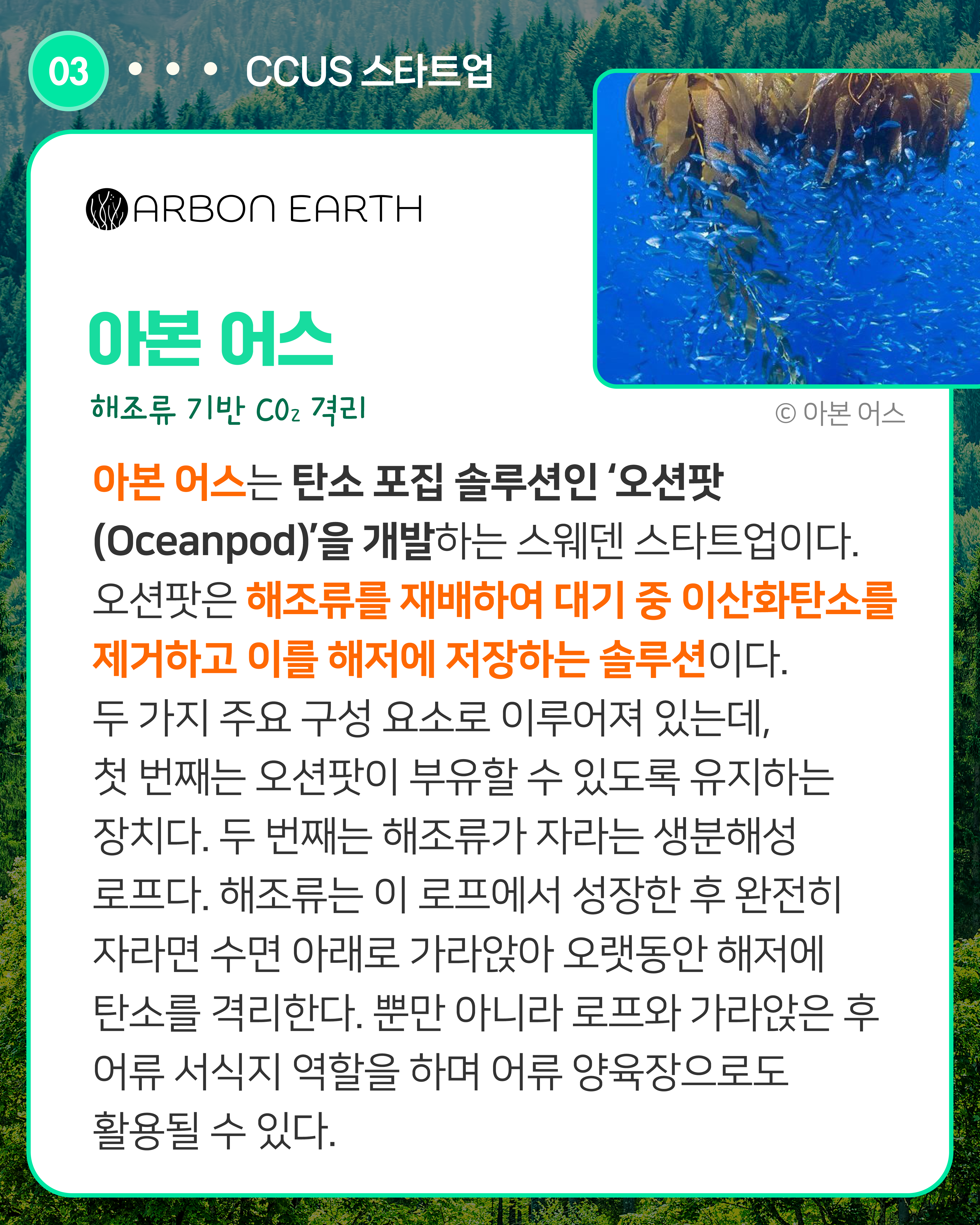 아본 어스 해조류 기반 CO2 격리
아본 어스는 탄소 포집 솔루션인 ‘오션팟(Oceanpod)’을 개발하는 스웨덴 스타트업이다. 오션팟은 해조류를 재배하여 대기 중 이산화탄소를 제거하고 이를 해저에 저장하는 솔루션이다. 두 가지 주요 구성 요소로 이루어져 있는데, 첫 번째는 오션팟이 부유할 수 있도록 유지하는 장치다. 두 번째는 해조류가 자라는 생분해성 로프다. 해조류는 이 로프에서 성장한 후 완전히 자라면 수면 아래로 가라앉아 오랫동안 해저에 탄소를 격리한다. 뿐만 아니라 로프와 가라앉은 후 어류 서식지 역할을 하며 어류 양육장으로도 활용될 수 있다.
