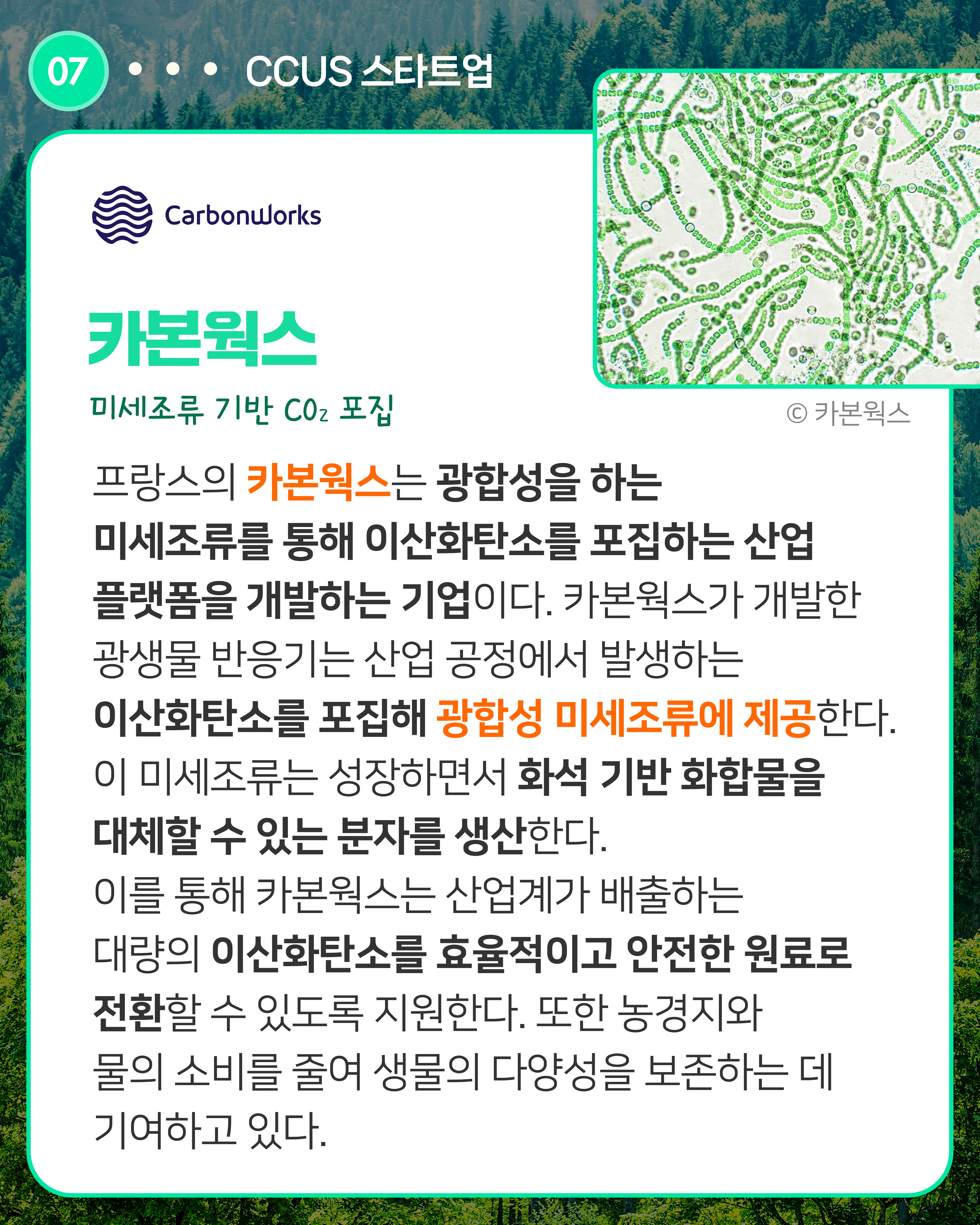 카본웍스 미세조류 기반 CO2 포집
프랑스의 카본웍스는 광합성을 하는 미세조류를 통해 이산화탄소를 포집하는 산업 플랫폼을 개발하는 기업이다. 카본웍스가 개발한 광생물 반응기는 산업 공정에서 발생하는 이산화탄소를 포집해 광합성 미세조류에 제공한다. 이 미세조류는 성장하면서 화석 기반 화합물을 대체할 수 있는 분자를 생산한다. 이를 통해 카본웍스는 산업계가 배출하는 대량의 이산화탄소를 효율적이고 안전한 원료로 전환할 수 있도록 지원한다. 또한 농경지와 물의 소비를 줄여 생물의 다양성을 보존하는 데 기여하고 있다.
