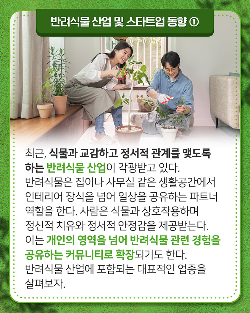 반려식물 산업 및 스타트업 동향①
최근, 식물과 교감하고 정서적 관계를 맺는 반려식물 산업이 각광받고 있다.  반려식물은 집이나 사무실 같은 생활공간에서 인테리어 장식을 넘어 일상을 공유하는 파트너 역할을 한다. 사람은 식물과 상호 교감하며 정신적 치유와 정서적 안정감을 제공 받는다. 이런 개인의 경험은 반려식물 관련 정보를 공유하는 커뮤니티로 확장되기도 한다. 반려식물 산업에 포함되는 대표적인 업종을 살펴보자.  