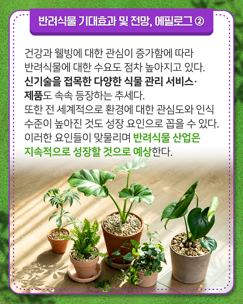 반려식물 기대효과 및 전망, 에필로그②
건강과 웰빙에 대한 관심이 증가함에 따라 반려식물에 대한 수요도 점차 높아지고 있다. 신기술을 접목한 다양한 식물 관리 서비스·제품도 속속 등장하는 추세다. 또한 전 세계적으로 환경에 대한 관심도와 인식 수준이 높아진 것도 성장 요인으로 꼽을 수 있다. 이러한 요인들이 맞물리며 반려식물 산업은 지속적으로 성장할 것으로 예상한다. 
