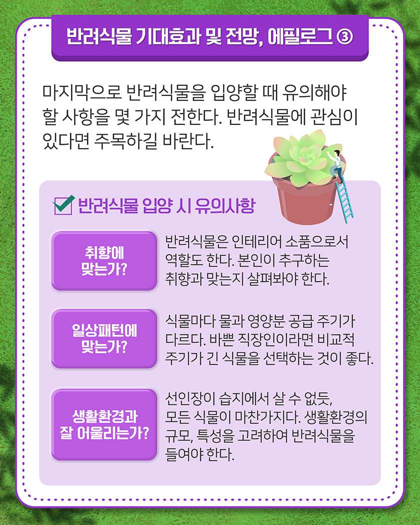 반려식물 기대효과 및 전망, 에필로그③
마지막으로 반려식물을 입양할 때 유의해야 할 사항을 몇 가지 전한다. 반려식물에 관심 있다면 주목하길 바란다.
[반려식물 입양 시 유의사항] 
1. 취향에 맞는가?
반려식물은 인테리어 소품으로서 역할도 한다. 본인이 추구하는 취향과 맞는지 살펴봐야 한다. 
2. 일상패턴에 맞는가?
식물마다 물과 영양분 공급 주기가 다르다. 바쁜 직장인이라면 비교적 주기가 긴 식물을 선택하는 것이 좋다.
3. 생활환경과 잘 어울리는가?
선인장이 습지에서 살 수 없듯, 모든 식물이 마찬가지다. 생활환경의 규모, 특성을 고려하여 반려식물을 들여야 한다. 